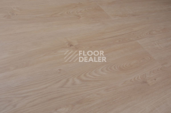 Evofloor Optima Click 4.2мм Дуб Гавана фото 5 | FLOORDEALER