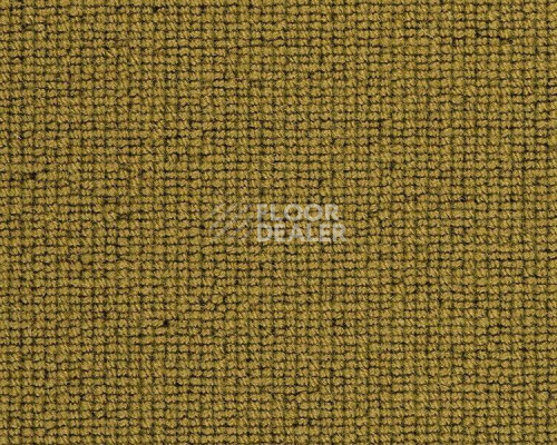 Ковролин Best Wool Hospitality 1 h 1450 - h 40000 фото 1 | FLOORDEALER