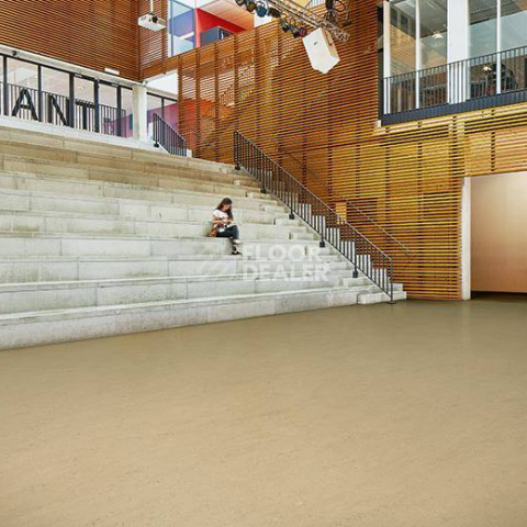 Forbo Marmoleum Solid Concrete 3728-372835 Kaolin фото 3 | FLOORDEALER