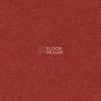 Ковролин Finett Feinwerk 503503 фото 1 | FLOORDEALER
