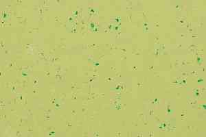Линолеум Gerflor Mipolam BioControl Clean 5427 Green Zest фото  | FLOORDEALER
