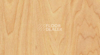 Линолеум Gerflor Taraflex Surface Wood 6381_Maple_design фото 1 | FLOORDEALER