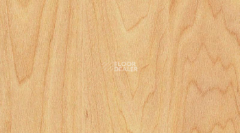 Линолеум Gerflor Taraflex Surface Wood 6381_Maple_design фото 1 | FLOORDEALER