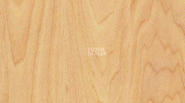 Линолеум Gerflor Taraflex Surface Wood 6381_Maple_design фото 1 | FLOORDEALER