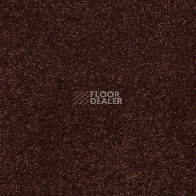 Ковролин Shaw Design Texture Platinum 621 фото 1 | FLOORDEALER