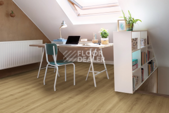 Moduleo Next Acoustic дерево SILKY OAK 235 BO фото 2 | FLOORDEALER