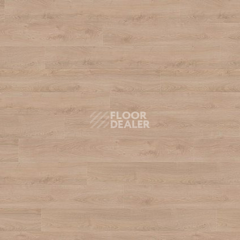 Ламинат Wineo 700 Wood XXL V4 8мм LA225XXLV4 Дуб Финский Бежевый фото 1 | FLOORDEALER