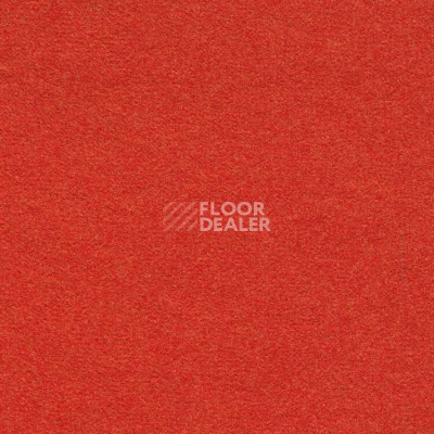 Ковролин Finett Feinwerk 503506 фото 1 | FLOORDEALER