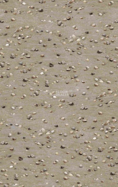 Ковролин Halbmond Pure Elements 13850 фото 1 | FLOORDEALER