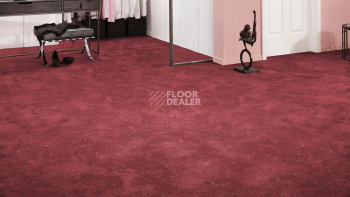 Vorwerk Superior 1073 Vorwerk 1n51 фото 2 | FLOORDEALER
