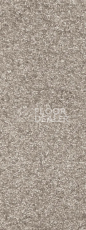 Ковровая плитка Bonkeel Spartacus 49 фото 1 | FLOORDEALER