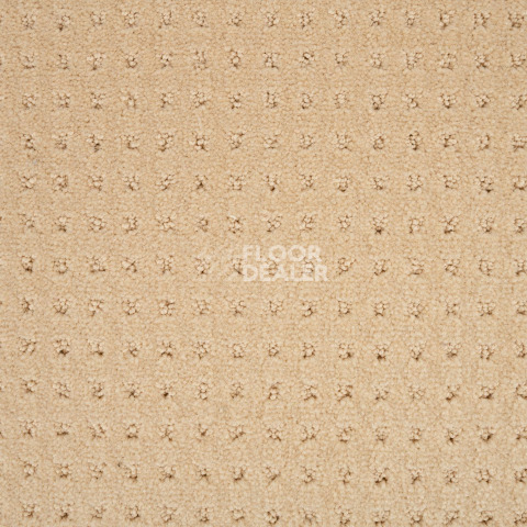 Balsan Territoires Atrium 311 фото 2 | FLOORDEALER