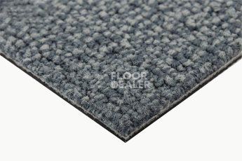 IVC Alternate 559 фото 4 | FLOORDEALER