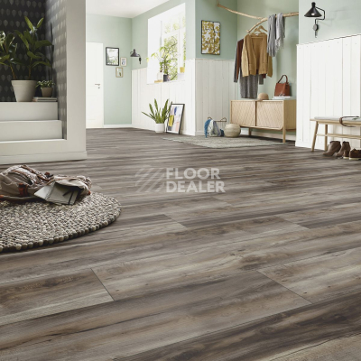 Ламинат Kronotex Exquisit Plus d6006 Клен Каньон Темный фото 2 | FLOORDEALER