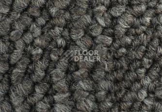 Desso Desert 9532 фото 3 | FLOORDEALER