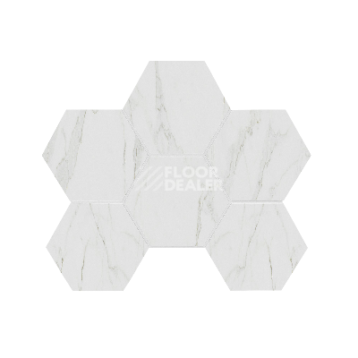 Керамогранит Alba Мозаика Hexagon 25x28,5 Мозаика ab 01 Hexagon 25x28,5 полир. фото 1 | FLOORDEALER