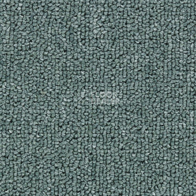 Ковролин Salisbury Beaulieu of America 226 фото 1 | FLOORDEALER