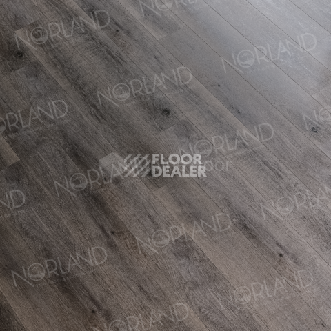 Norland Sigrid Superior 8мм Blake 1008-2 ABA фото 3 | FLOORDEALER