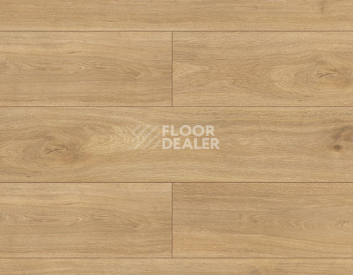 Ламинат Kronopol Platinium Terra AQUA BLOCK 8mm Kronopol Platinium Terra Aqua Block 24h Дуб ди Треви D4917 фото 1 | FLOORDEALER