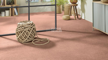 Vorwerk Superior 1065/Viola Vorwerk 1n46 фото 2 | FLOORDEALER