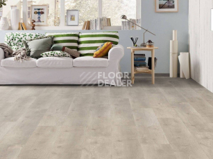 Haro Tritty 100 4V ДУБ БЕРГАМО СЕРЕБРЯНО-СЕРЫЙ 541470 фото 3 | FLOORDEALER