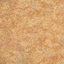 Линолеум Novoflor Extra Amos 3100-61  | FLOORDEALER