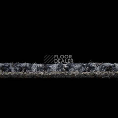 Balsan Take a Walk 970 Take a Walk фото 5 | FLOORDEALER