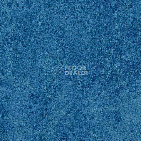 Кварцвиниловые полы Forbo Marmoleum Modular Colour 3030 фото 1 | FLOORDEALER