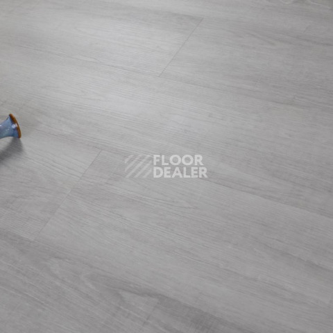 Evofloor Optima Click 4.2мм Дуб Серебряный фото 5 | FLOORDEALER