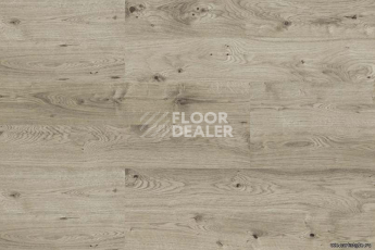 Wood OAK GREY фото 4 | FLOORDEALER
