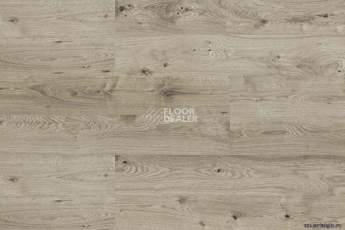 Wood OAK GREY фото 4 | FLOORDEALER