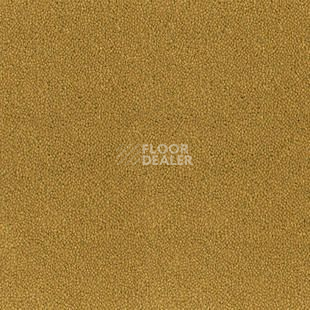 Ковролин Desso Asteranne 6112 фото 1 | FLOORDEALER