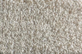 Ковролин AW Satisfaction 36 фото 1 | FLOORDEALER