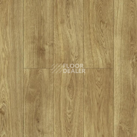 Ламинат Alpine Floor Aqua Life XL 8мм LF104-07 ДУБ КАДДО фото 1 | FLOORDEALER