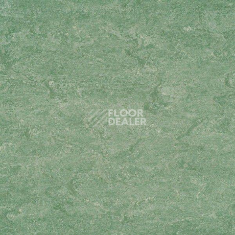 Линолеум Gerflor Marmorette DLW 2.5mm 121-043 фото 1 | FLOORDEALER