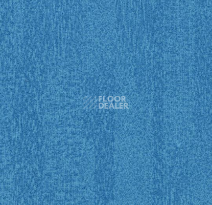 Ковровая плитка Forbo Flotex Colour Penang 50*50 t 382011 Penang Sapphire фото 1 | FLOORDEALER