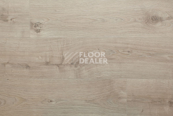 My Floor Cottage 8мм mv808 Дуб бежевый Атласный фото 16 | FLOORDEALER