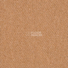 Ковровая плитка Shaw Momentum 02211 фото 1 | FLOORDEALER