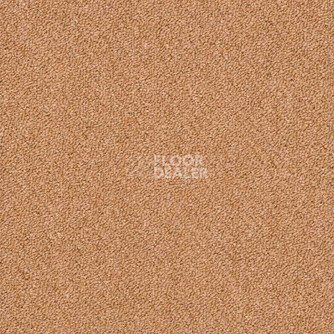 Ковровая плитка Shaw Momentum 02211 фото 1 | FLOORDEALER