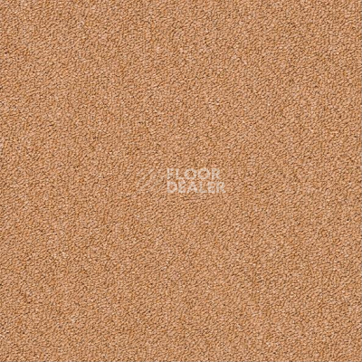 Ковровая плитка Shaw Momentum 02211 фото 1 | FLOORDEALER