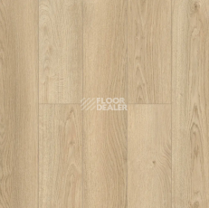 Ламинат Alpine Floor Murano 12мм LF120-01 Дуб Валенсия фото 1 | FLOORDEALER