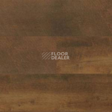 Линолеум Polyflor Expona Wood 6144 фото 1 | FLOORDEALER