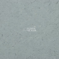 Линолеум Gerflor Marmorette DLW  2mm 0055 Ash Grey фото 1 | FLOORDEALER