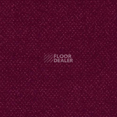 Ковролин Sintelon Orion 77639 фото 1 | FLOORDEALER