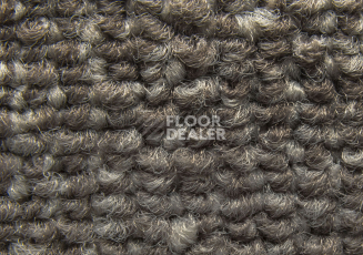 Balsan Desert 730 фото 3 | FLOORDEALER