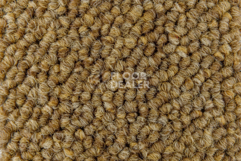 Desso Essence Pure ad 07 6112 фото 2 | FLOORDEALER