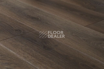 Ламинат Kronopol Aurum Vision 3330 Desert Tree фото 1 | FLOORDEALER