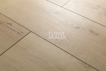 Aquafloor Real Wood XL Glue AF8008XL GLUE фото 3 | FLOORDEALER