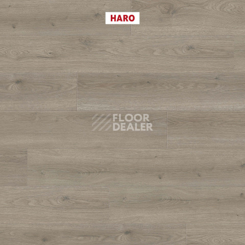 Haro Tritty 100 4V Дуб Флавия Серый 544702 фото 2 | FLOORDEALER