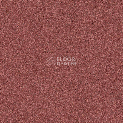 Линолеум Tarkett iq Monolit Monolit_918 фото 1 | FLOORDEALER